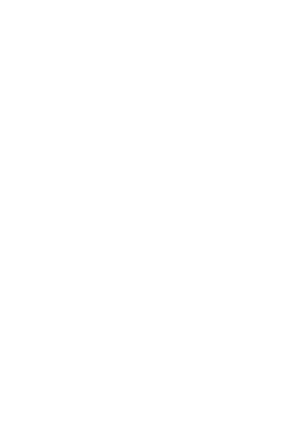 Blackswan S.R.L.